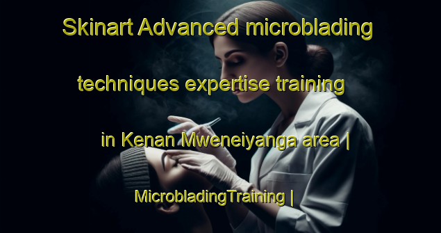 Skinart Advanced microblading techniques expertise training in Kenan Mweneiyanga area | MicrobladingTraining | MicrobladingClasses | SkinartTraining-Malawi